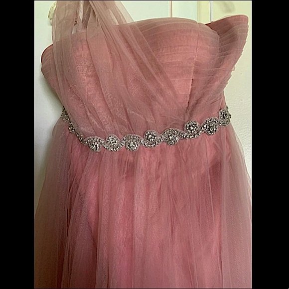 Plus size Dusty Pink Sheer Lace and Tulle Ball Gown - Picture 2 of 12